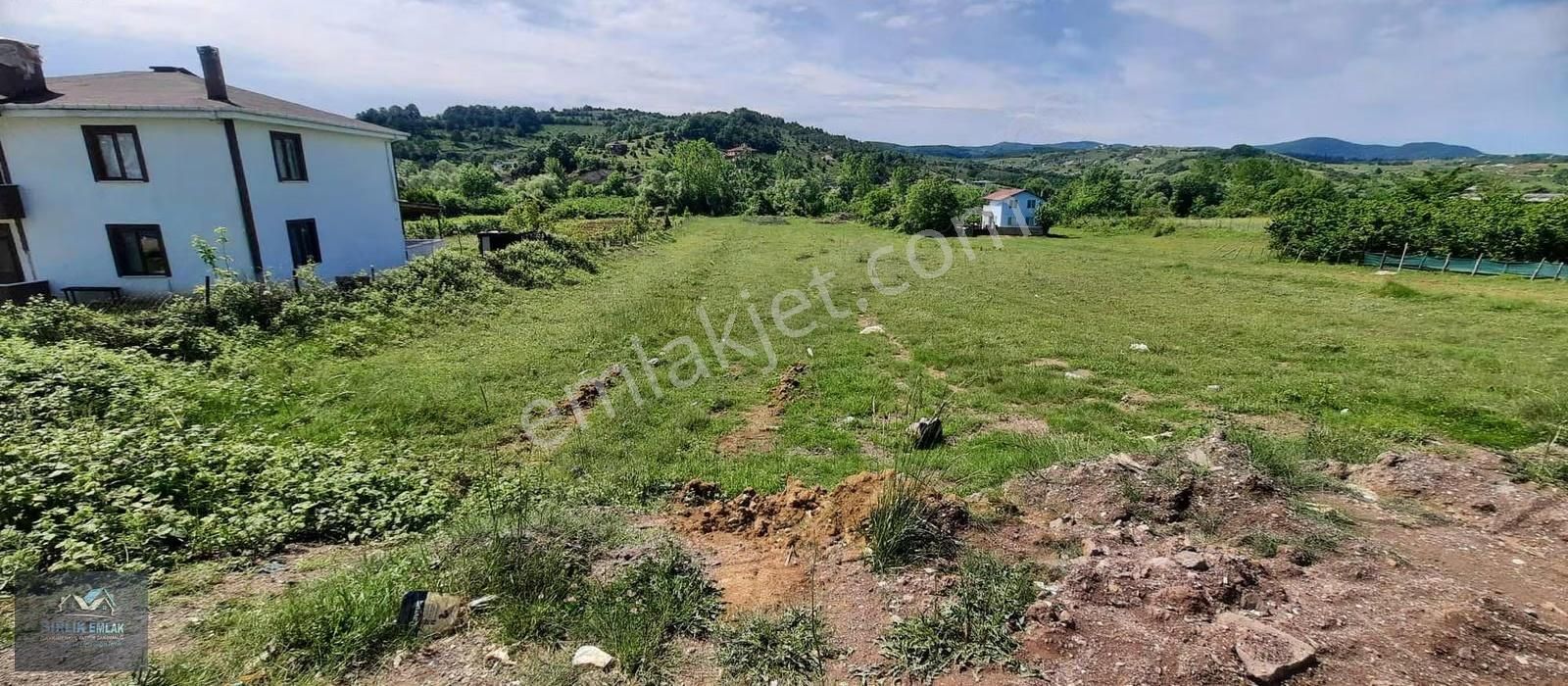 Resmi Yolu Var Elektirik Su Hatları Başında Yerleşim İçinde - Görsel 9