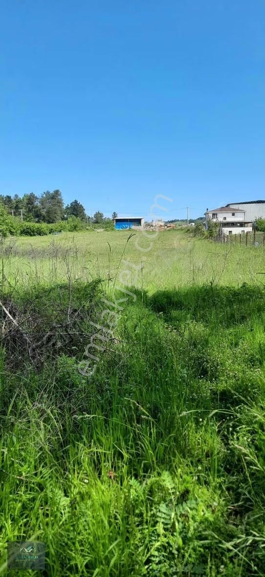 Resmi Yolu Var Elektirik Su Hatları Başında Yerleşim İçinde - Görsel 12