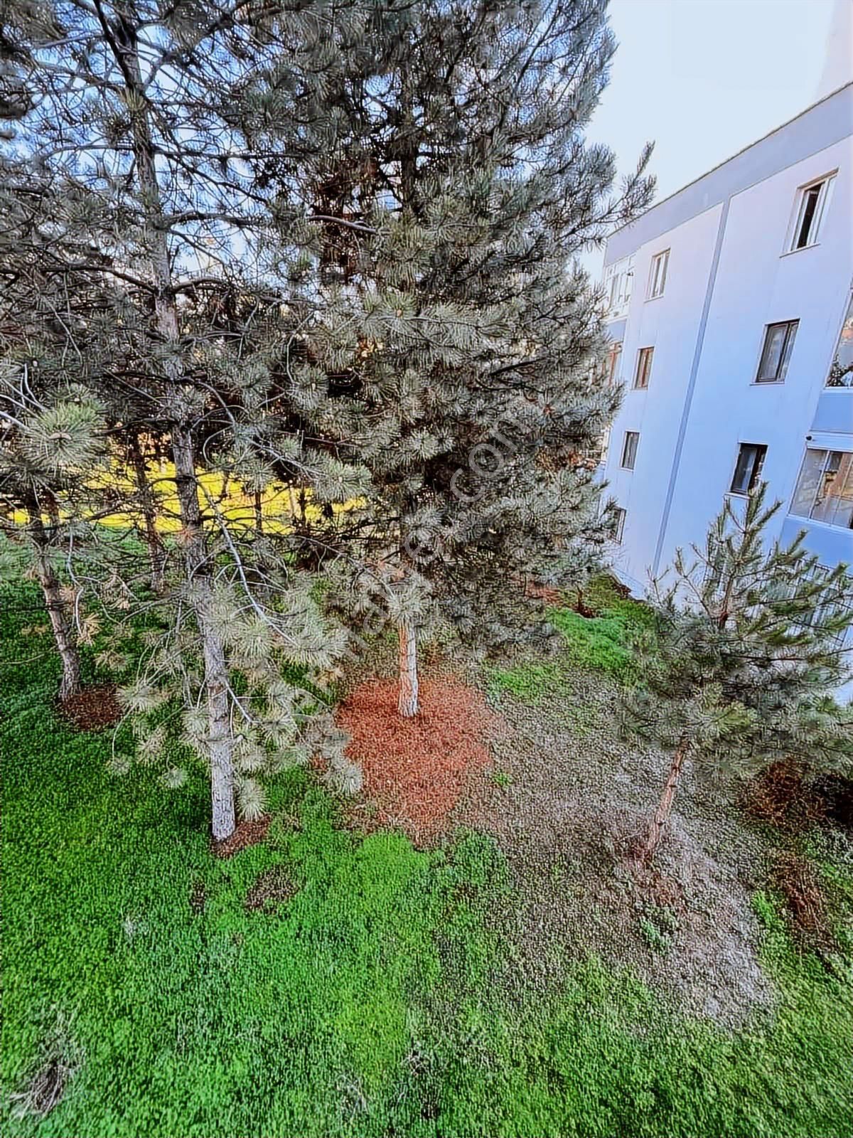 ''eryaman Efor''dan Merkezi Yerde Eşyalı 1+1 Kiralık Daire