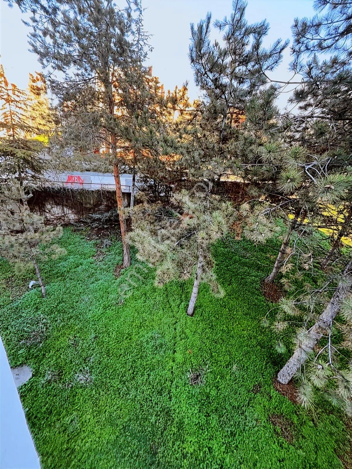''eryaman Efor''dan Merkezi Yerde Eşyalı 1+1 Kiralık Daire - Görsel 2