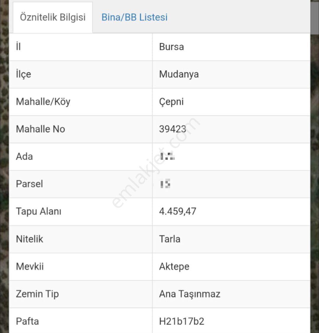 Ena Group Bursa Mudanya Çepni'de 4460 M2 Satılık Tarla - Görsel 2