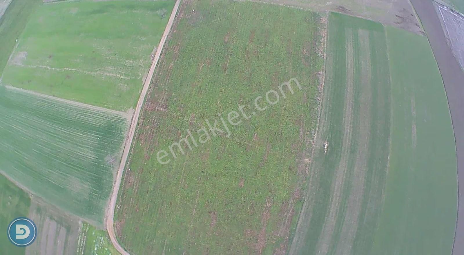 M.kemalpaşa Ovaazatlı'da Asfalta Cephe 14.520m2 Satılık Arazi - Görsel 13