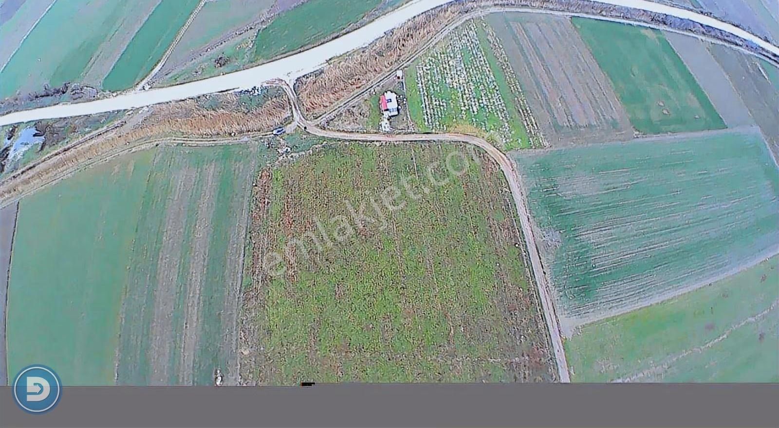 M.kemalpaşa Ovaazatlı'da Asfalta Cephe 14.520m2 Satılık Arazi - Görsel 10