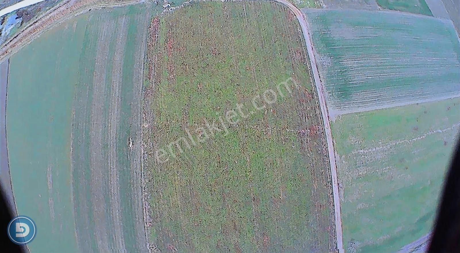 M.kemalpaşa Ovaazatlı'da Asfalta Cephe 14.520m2 Satılık Arazi - Görsel 8