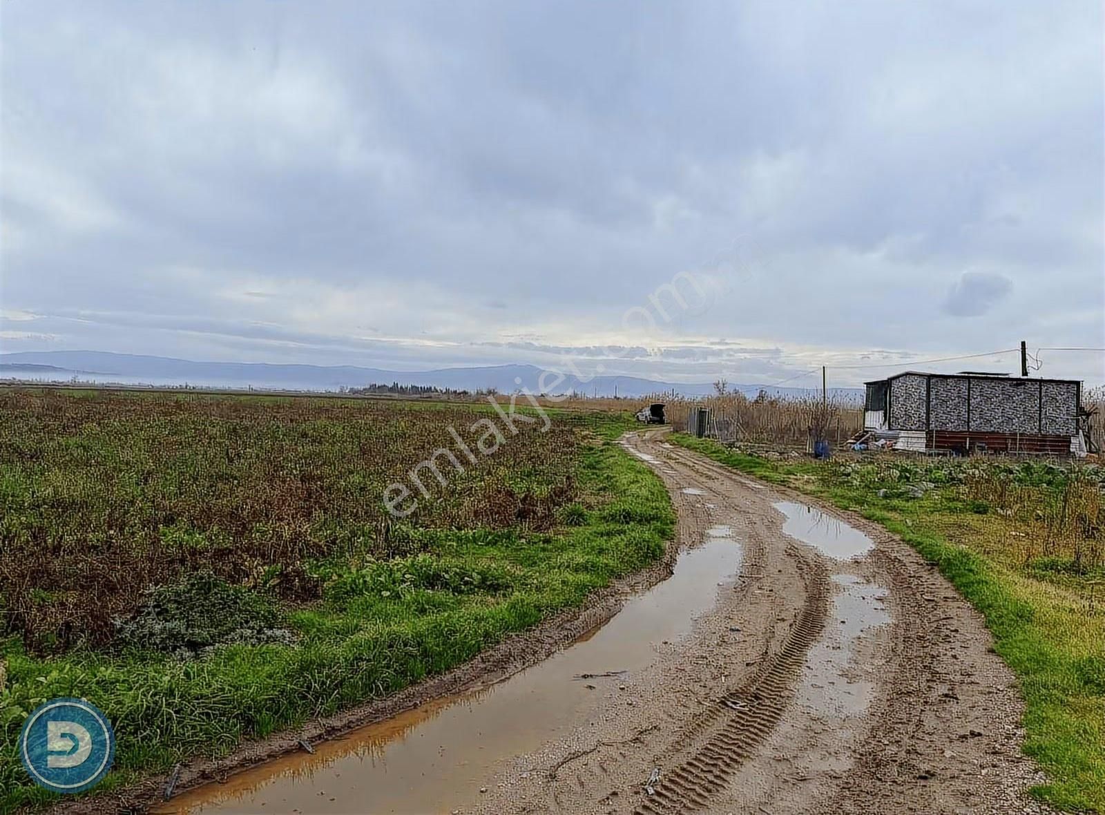 M.kemalpaşa Ovaazatlı'da Asfalta Cephe 14.520m2 Satılık Arazi - Görsel 7