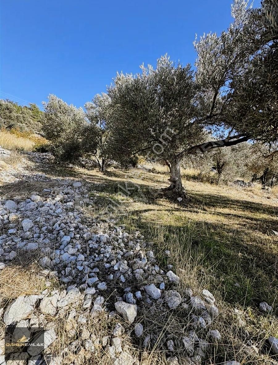 Kaş Gelemiş Yalı Sokak Deniz Manzaralı 500 M2 2b Arsalar - Görsel 2