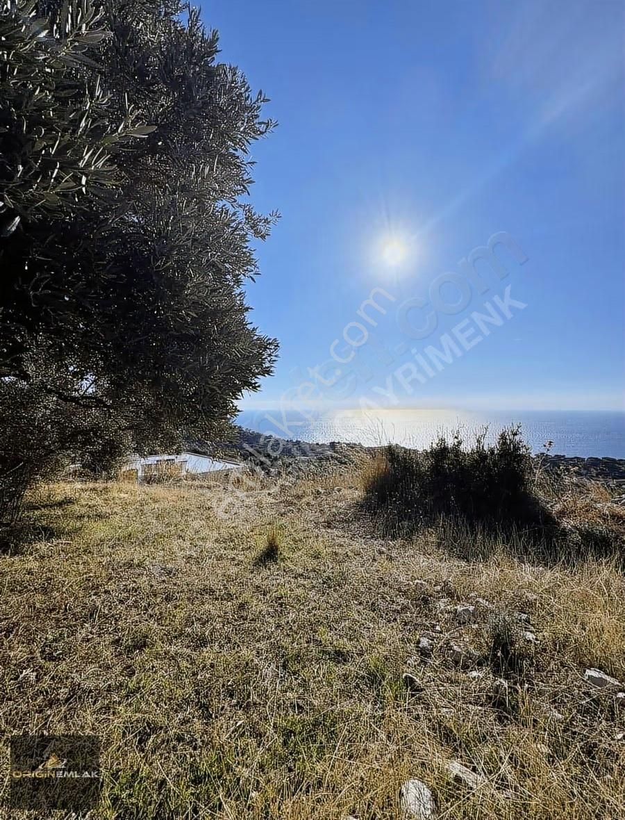 Kaş Gelemiş Yalı Sokak Deniz Manzaralı 500 M2 2b Arsalar - Görsel 10