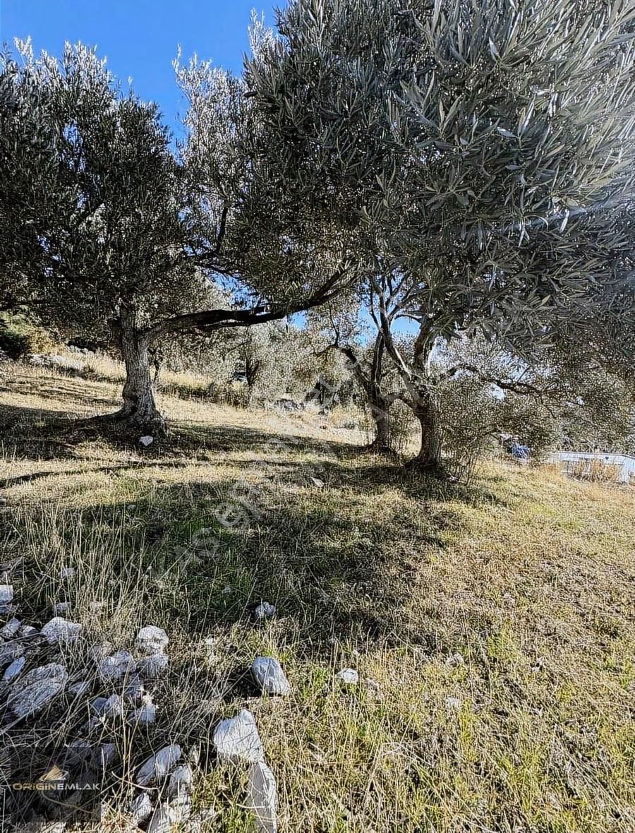 Kaş Gelemiş Yalı Sokak Deniz Manzaralı 500 M2 2b Arsalar - Görsel 4