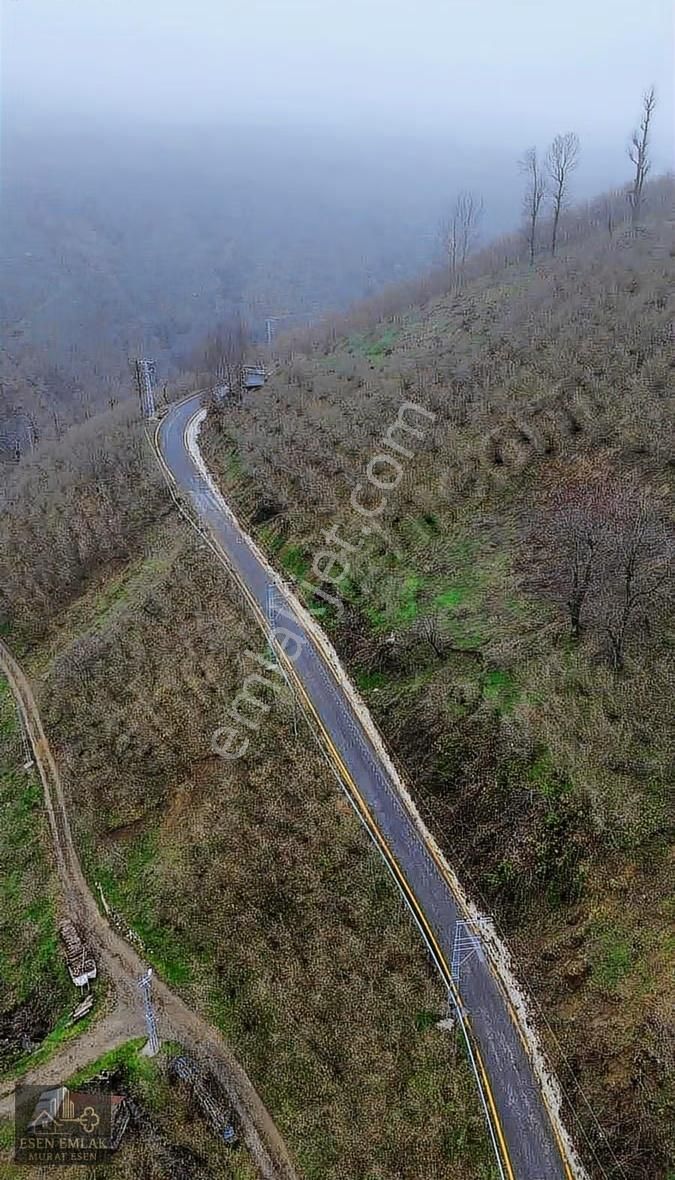 Acil Satılık Yatırımlık Arsa - Görsel 2