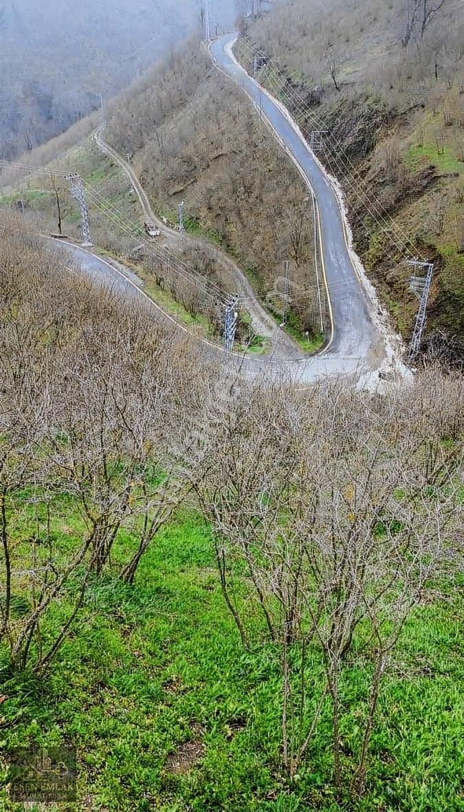 Acil Satılık Yatırımlık Arsa - Görsel 8