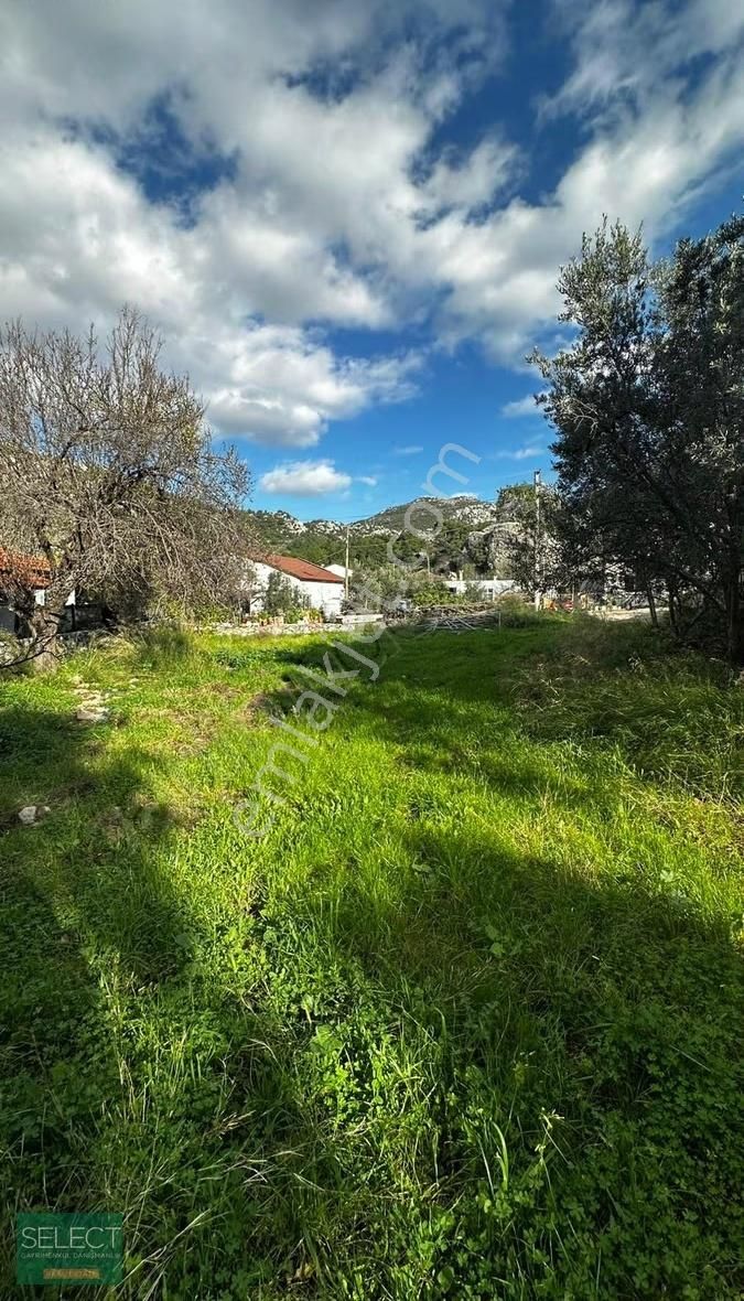 Select Gayrimenkul'den Marmaris Söğüt Köyü Yolu Olan Tarla - Görsel 8