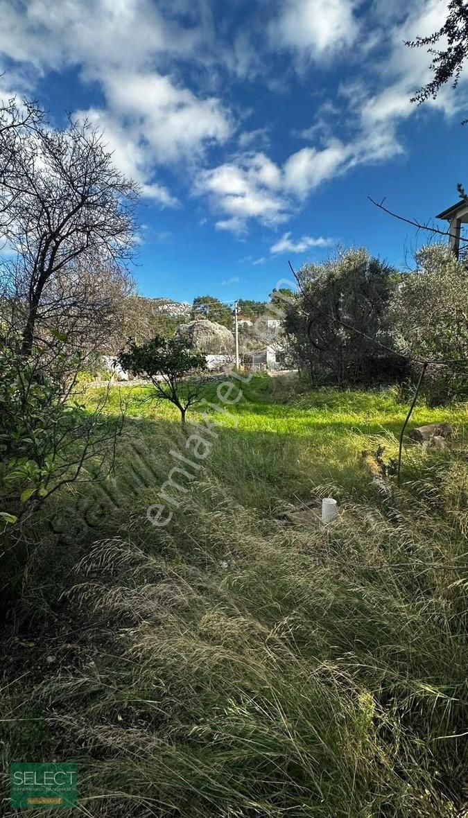 Select Gayrimenkul'den Marmaris Söğüt Köyü Yolu Olan Tarla - Görsel 5
