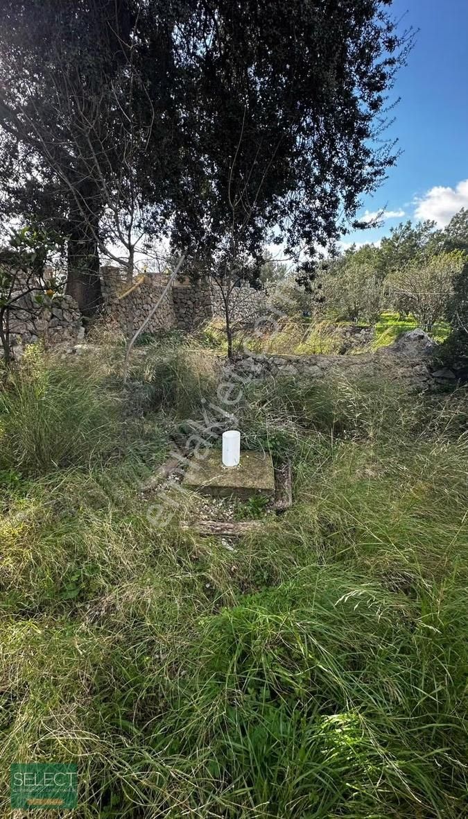 Select Gayrimenkul'den Marmaris Söğüt Köyü Yolu Olan Tarla - Görsel 4