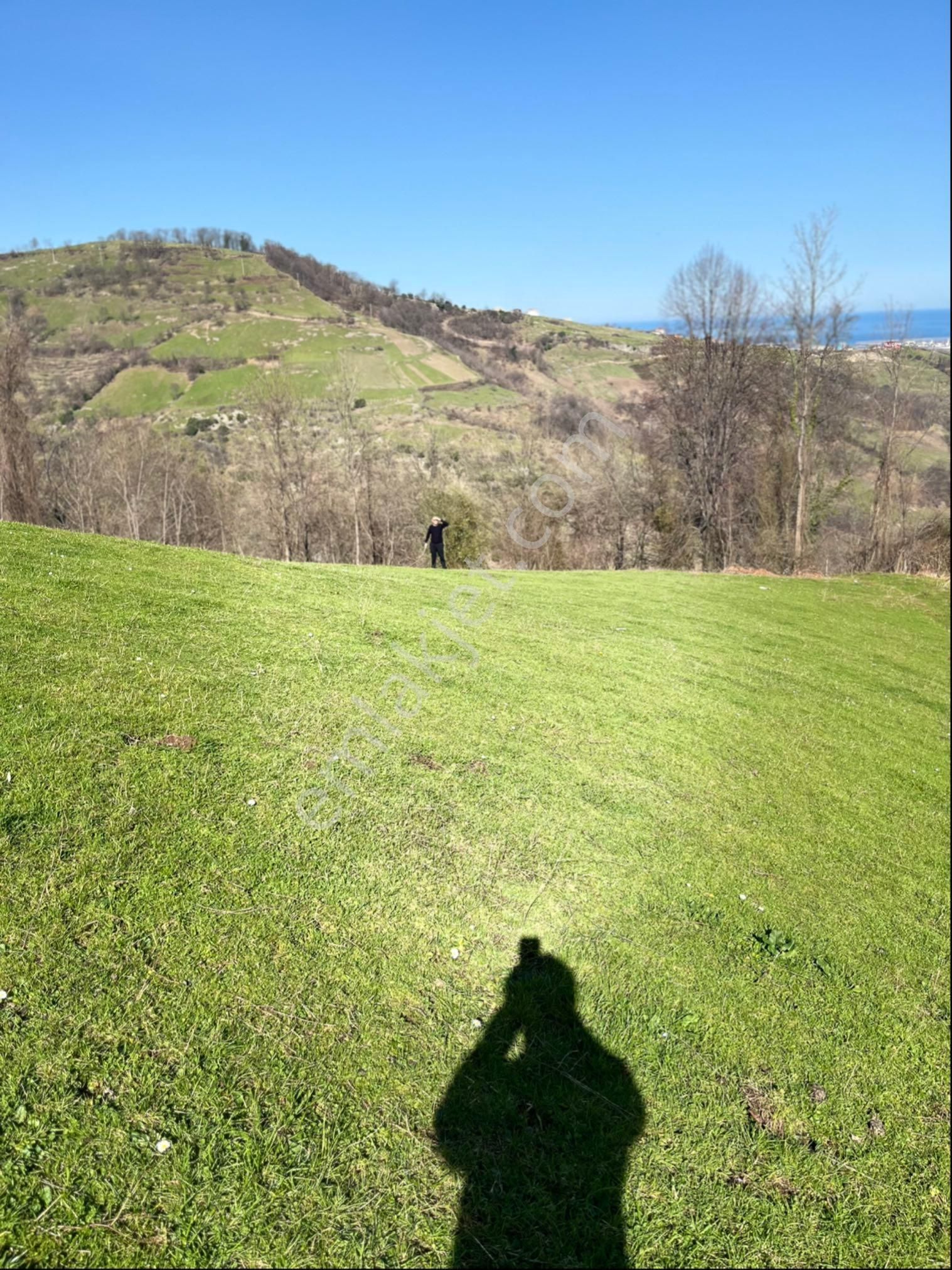 Samsun Tekkeköy Bakacak Mah. De Satılık Tarls