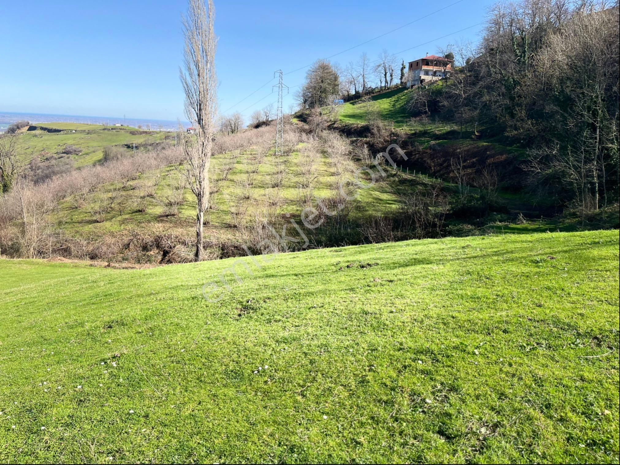 Samsun Tekkeköy Bakacak Mah. De Satılık Tarls - Görsel 9