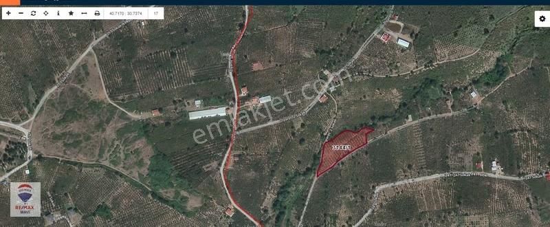 Çamlıca'da Yatırımlık 5.307 M² Fındıklık, Elektrik-su ,çift Yol - Görsel 2