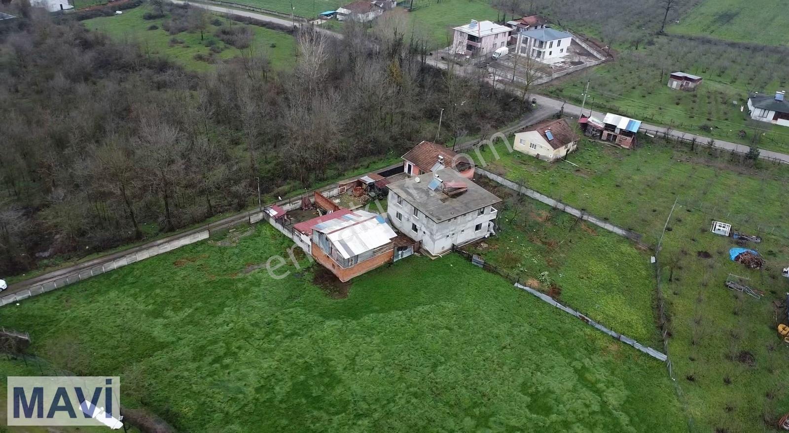 Kargalıyeniköy De 5.181 M² Arsa İçerisinde Müstakil Yaşam Alanı - Görsel 2