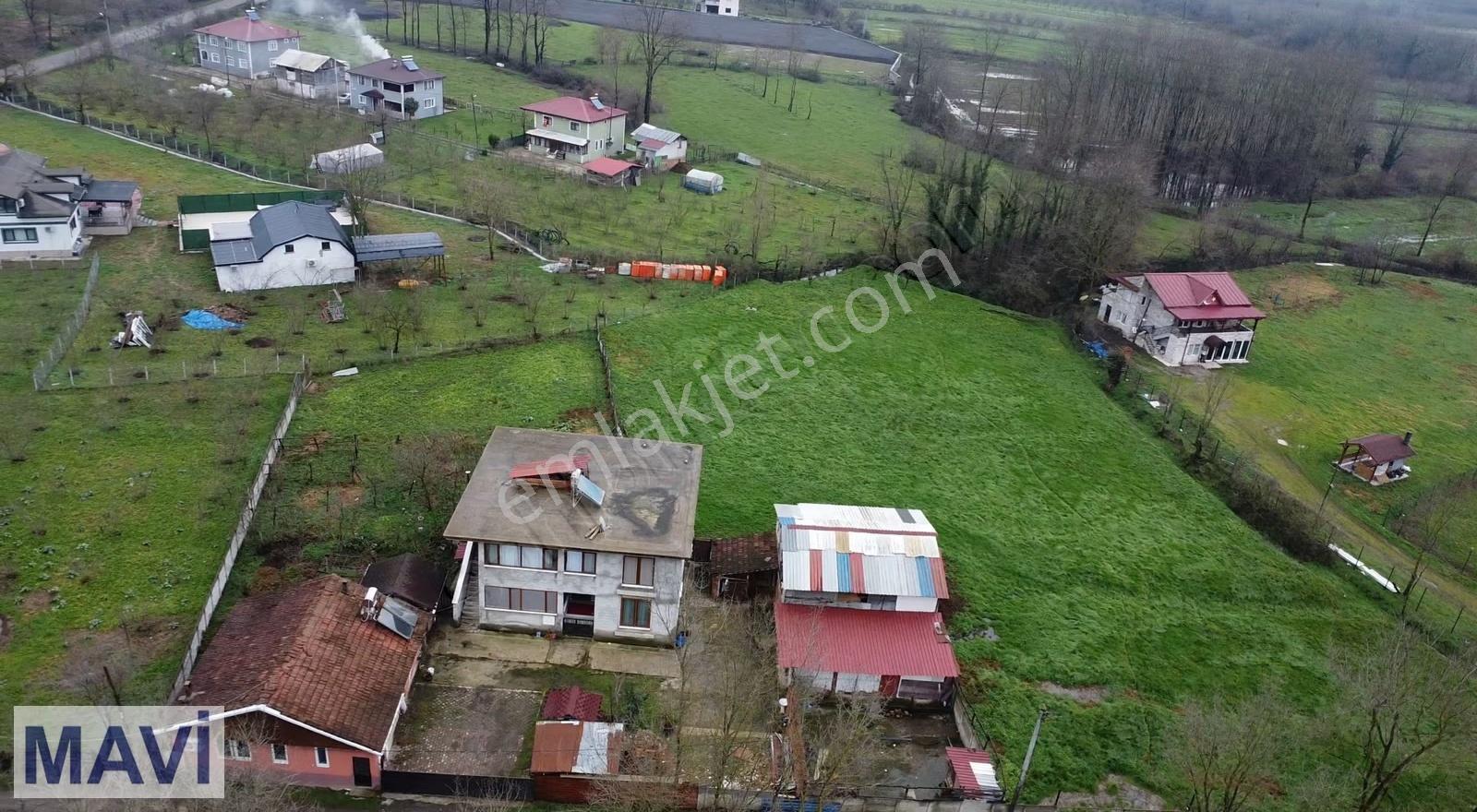 Kargalıyeniköy De 5.181 M² Arsa İçerisinde Müstakil Yaşam Alanı - Görsel 10