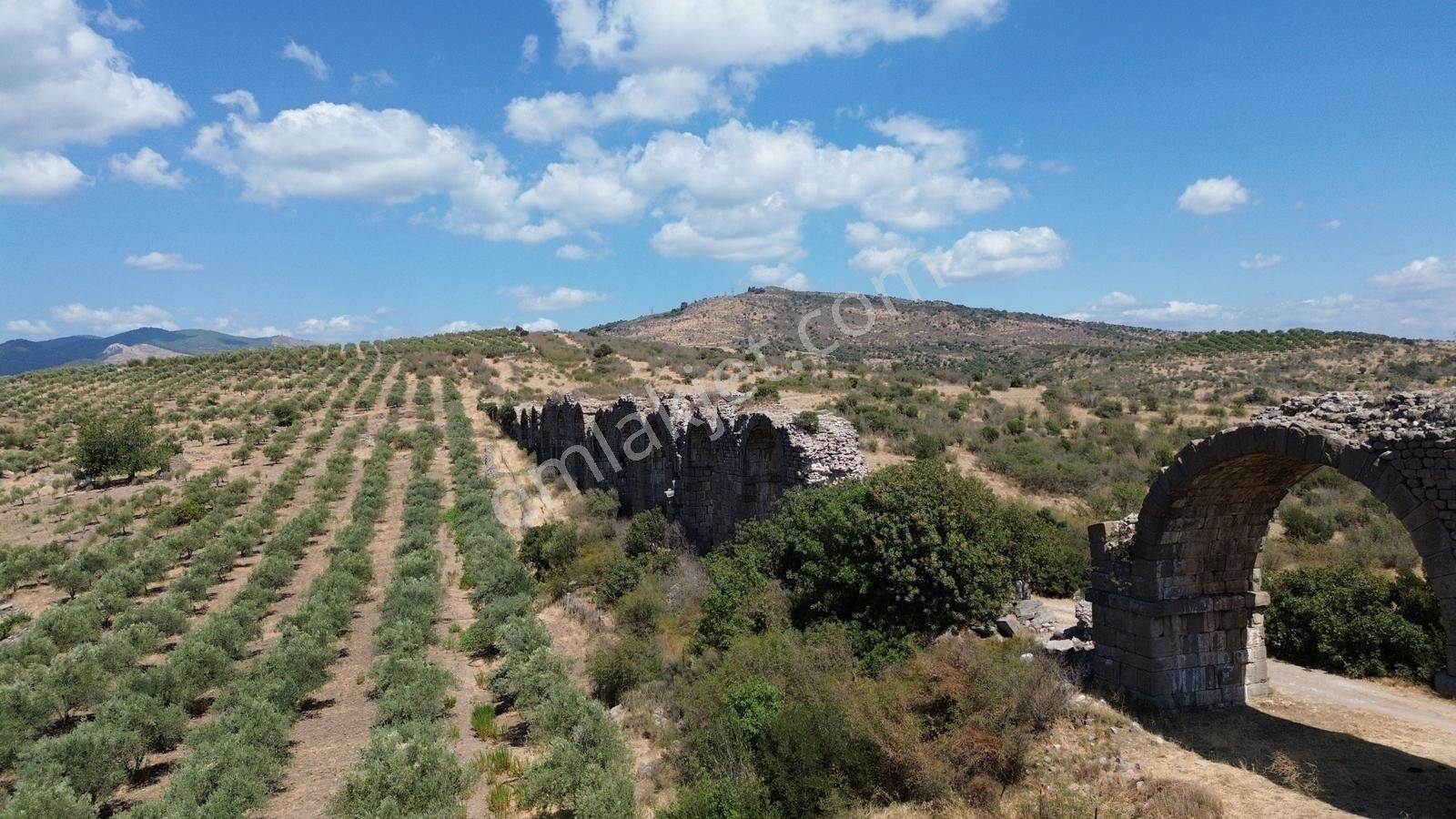 İzmir Bergama Tarihi Su Kemerlerinde Satılık Zeytinlik - Görsel 10