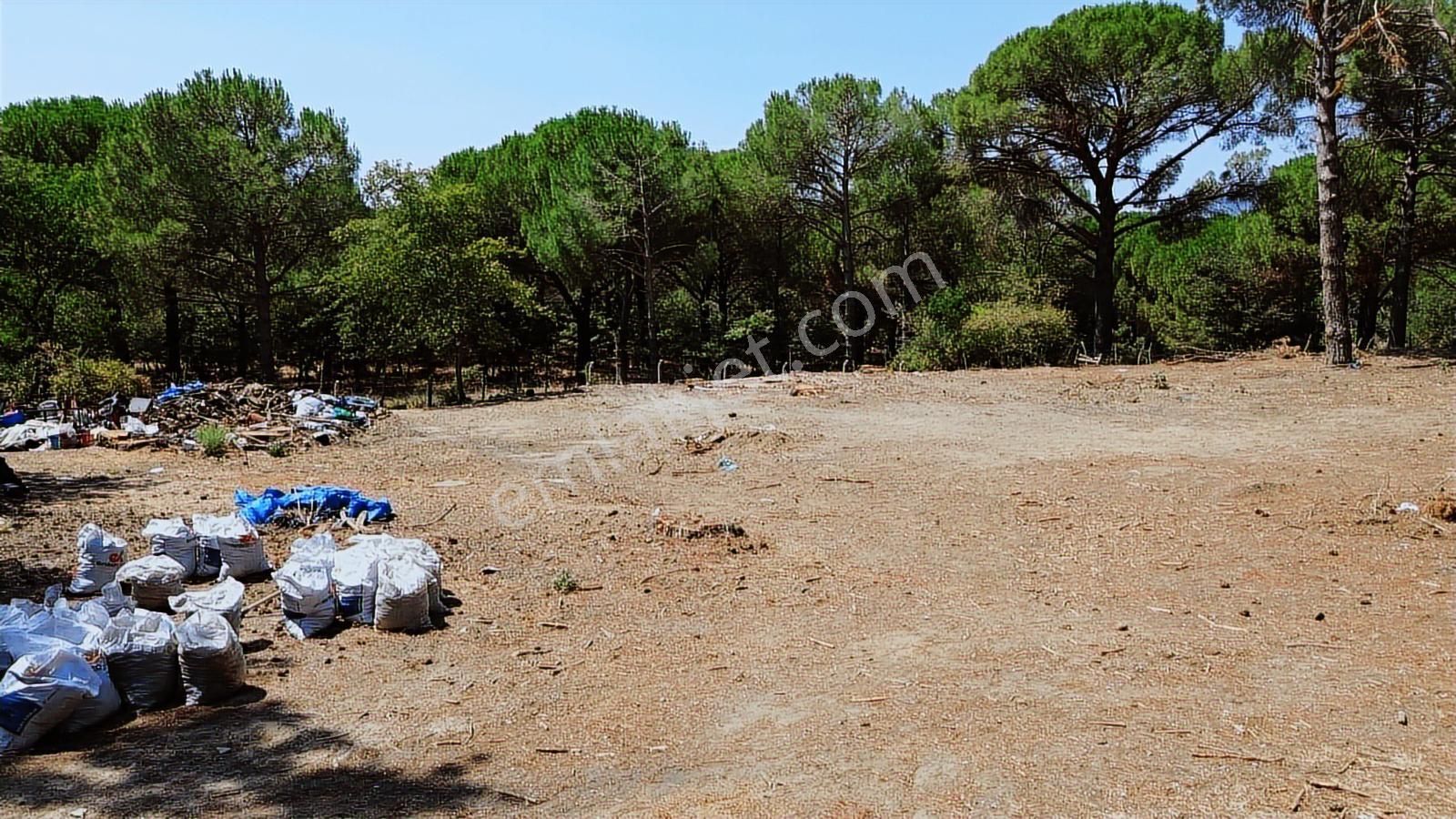 İzmir Bergama Yukarıbey Mahallesinde Satılık 2.000m2 İmarlı Arsa - Görsel 35