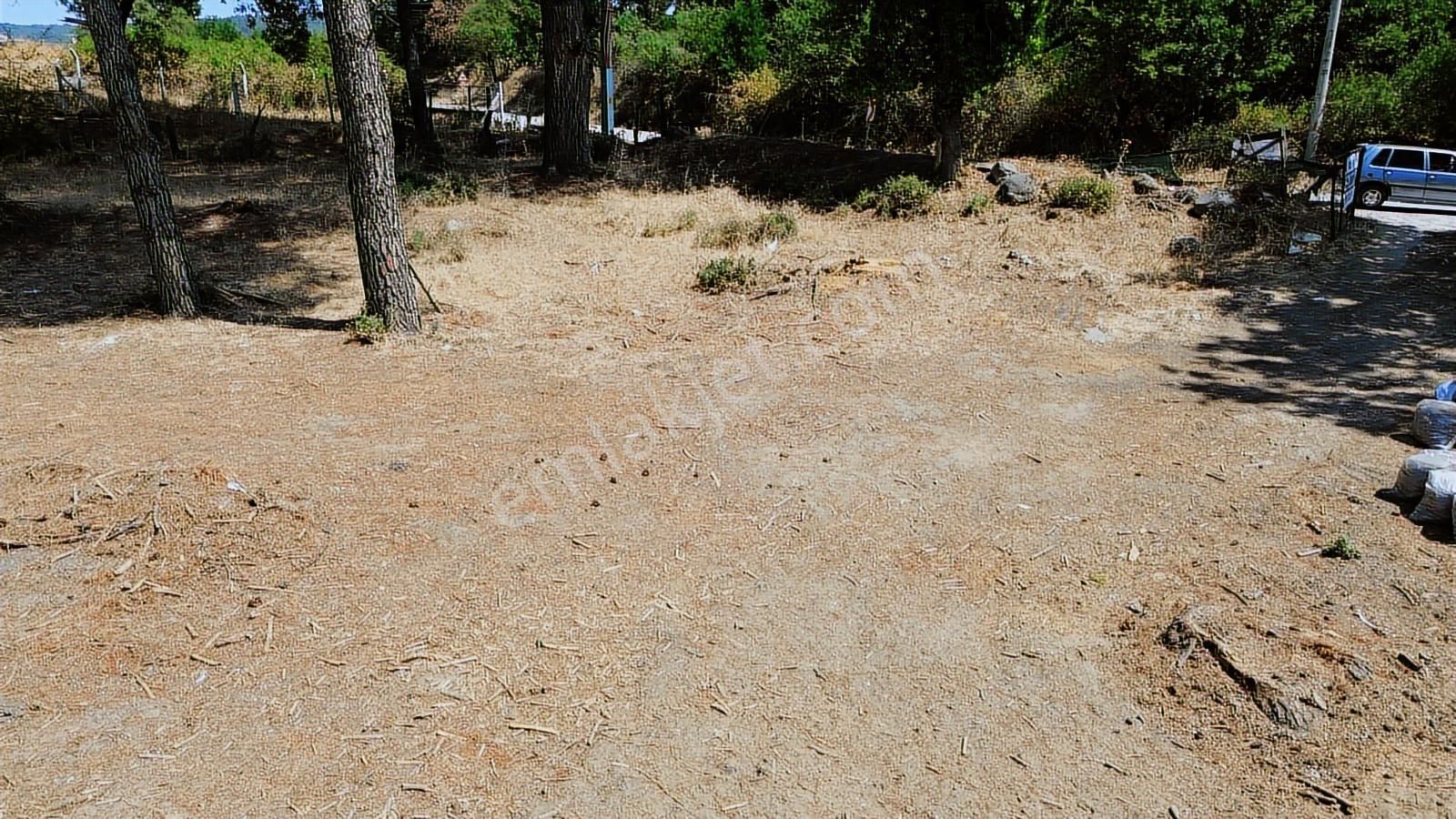 İzmir Bergama Yukarıbey Mahallesinde Satılık 2.000m2 İmarlı Arsa - Görsel 15