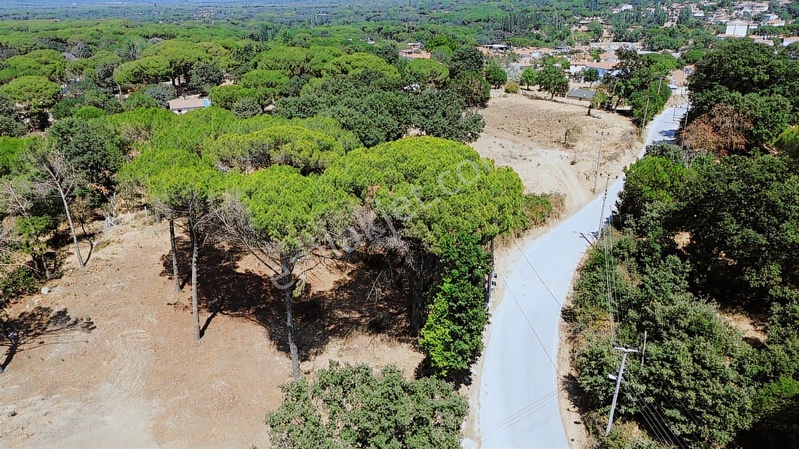 İzmir Bergama Yukarıbey Mahallesinde Satılık 2.000m2 İmarlı Arsa - Görsel 8