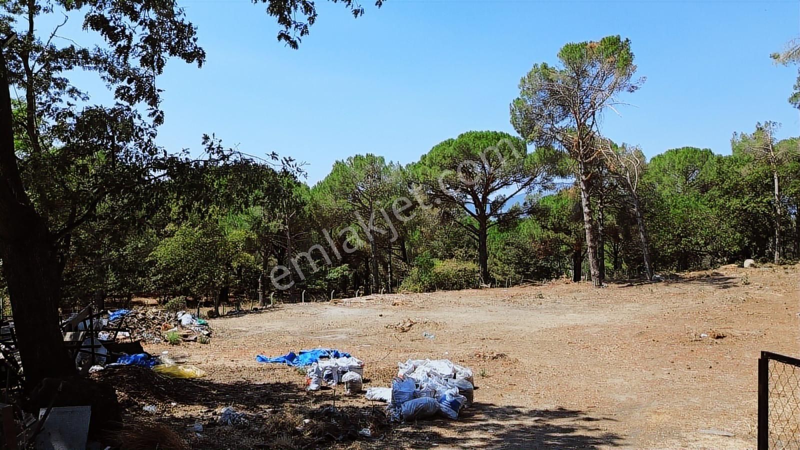 İzmir Bergama Yukarıbey Mahallesinde Satılık 2.000m2 İmarlı Arsa - Görsel 2