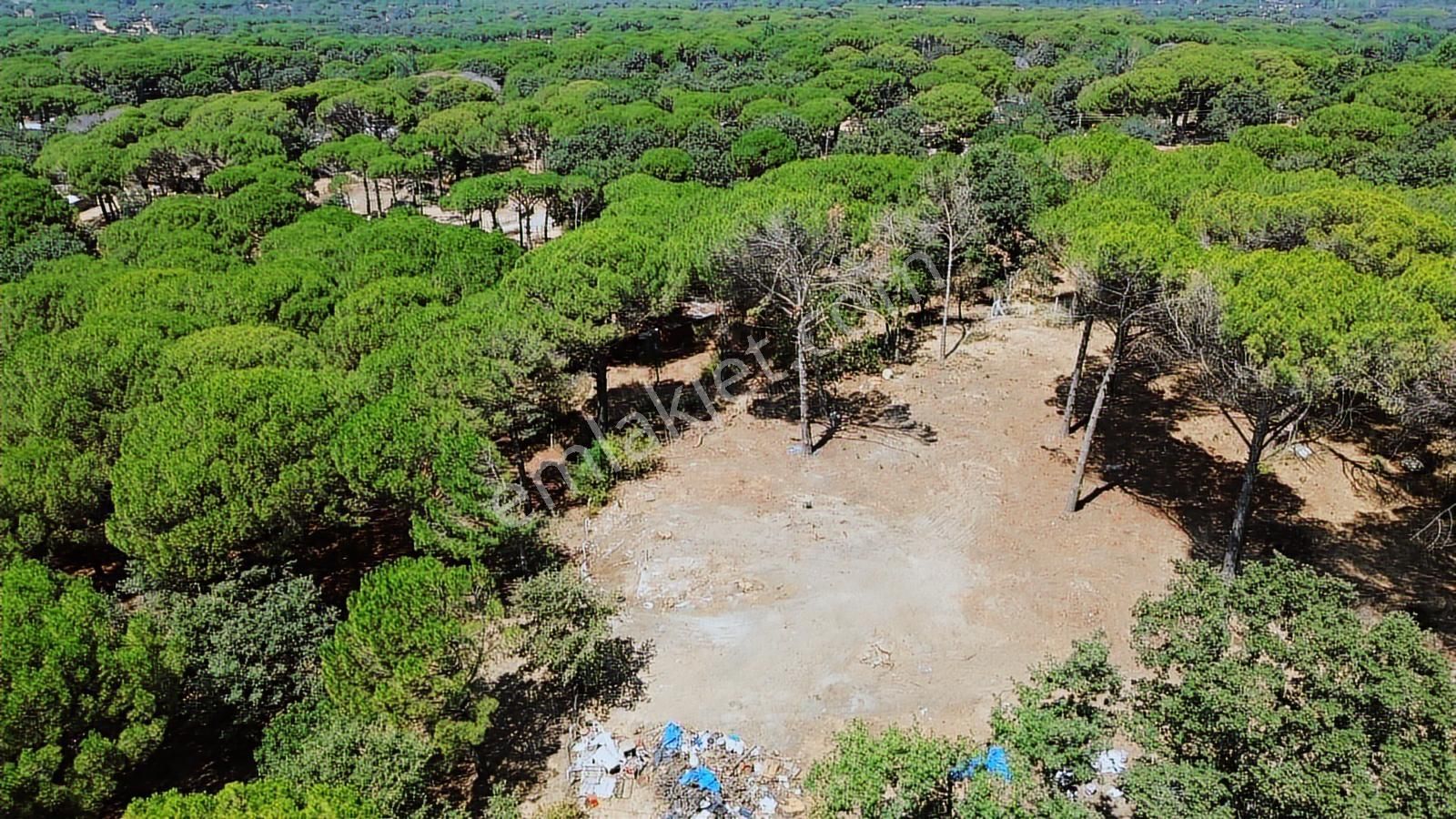 İzmir Bergama Yukarıbey Mahallesinde Satılık 2.000m2 İmarlı Arsa - Görsel 24