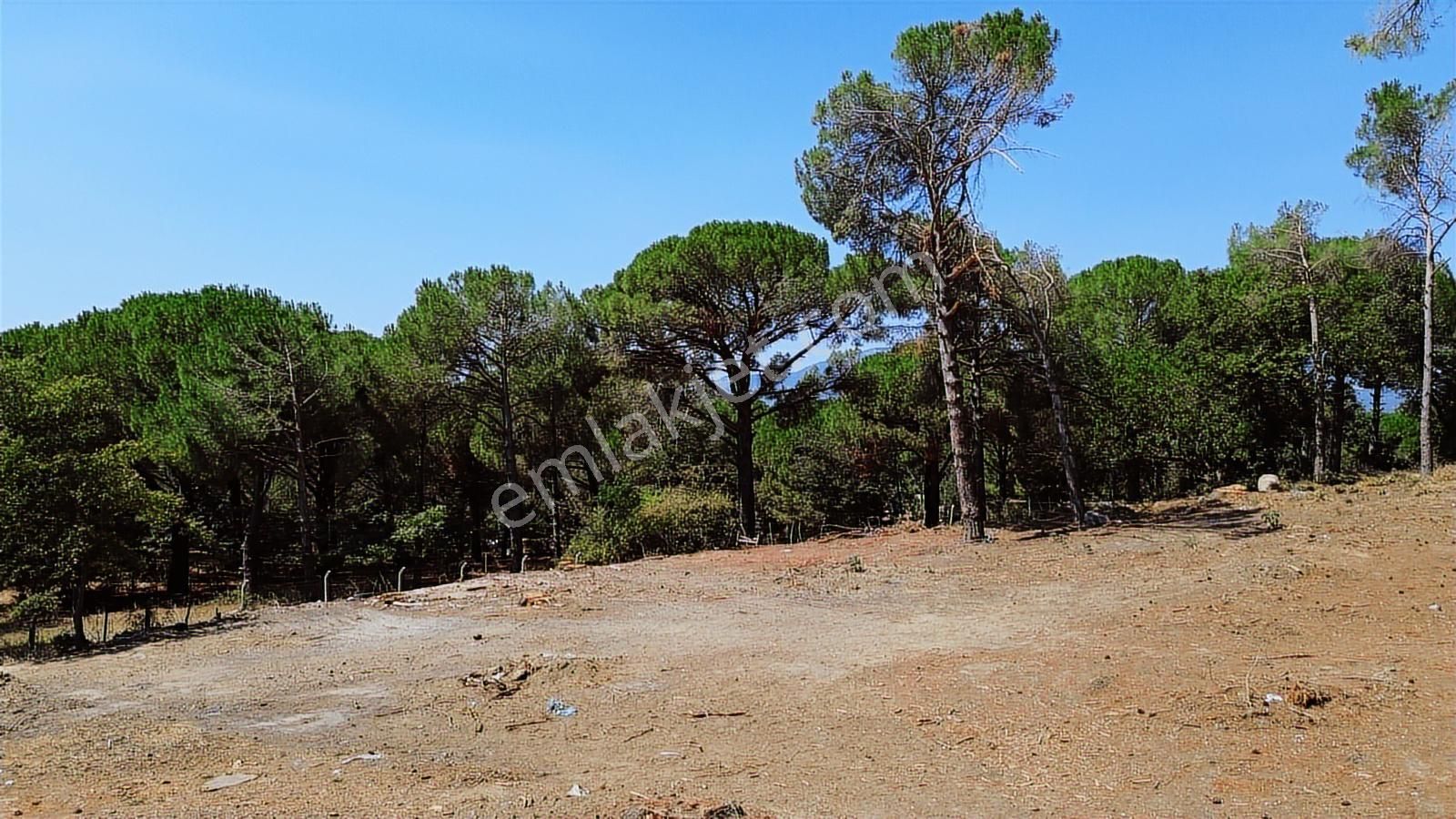 İzmir Bergama Yukarıbey Mahallesinde Satılık 2.000m2 İmarlı Arsa - Görsel 25