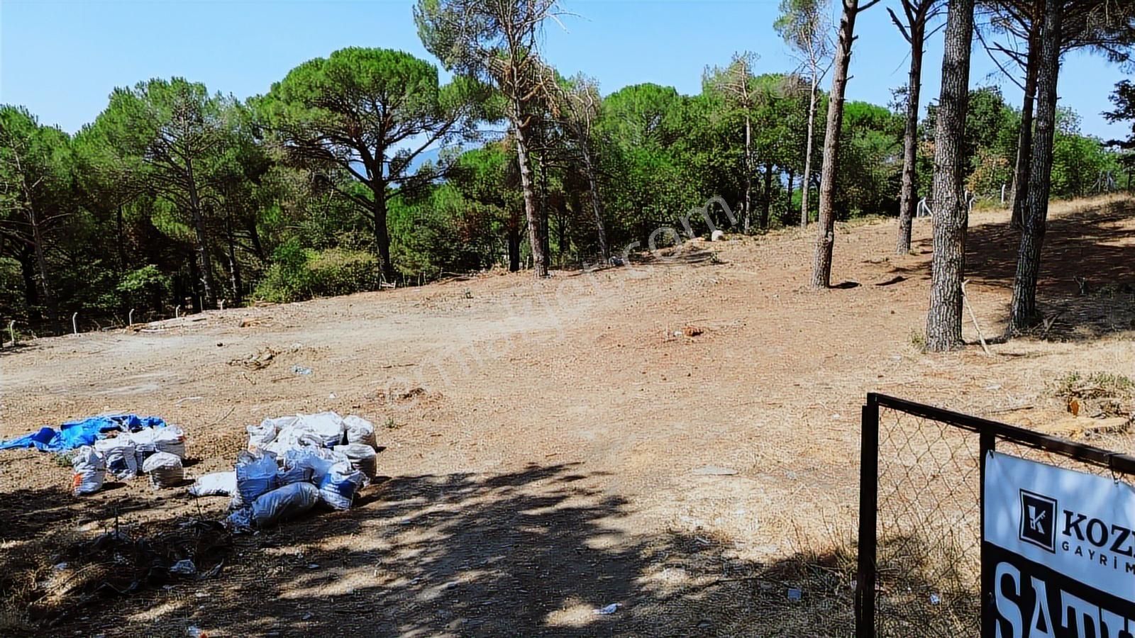 İzmir Bergama Yukarıbey Mahallesinde Satılık 2.000m2 İmarlı Arsa - Görsel 4