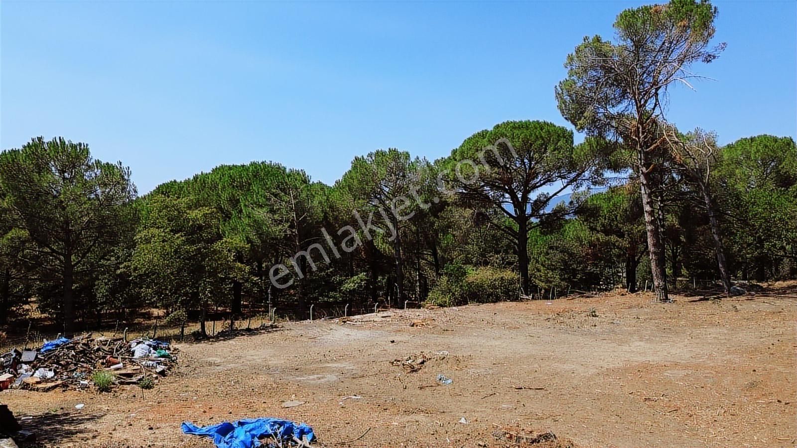 İzmir Bergama Yukarıbey Mahallesinde Satılık 2.000m2 İmarlı Arsa - Görsel 12