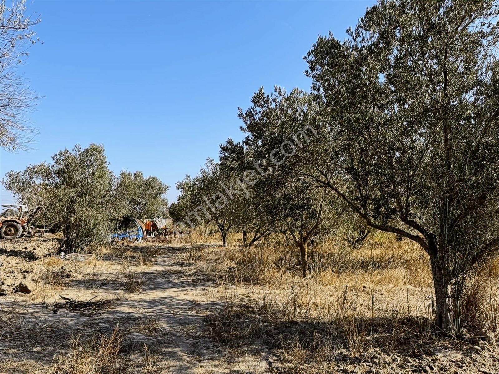Kınık Yayakent Mahallesinde Satılık Tarla - Görsel 15