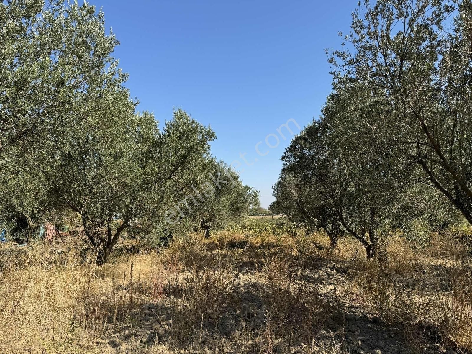 Kınık Yayakent Mahallesinde Satılık Tarla - Görsel 16