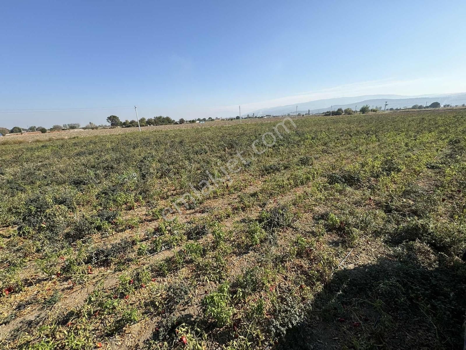 Kınık Yayakent Mahallesinde Satılık Tarla - Görsel 19