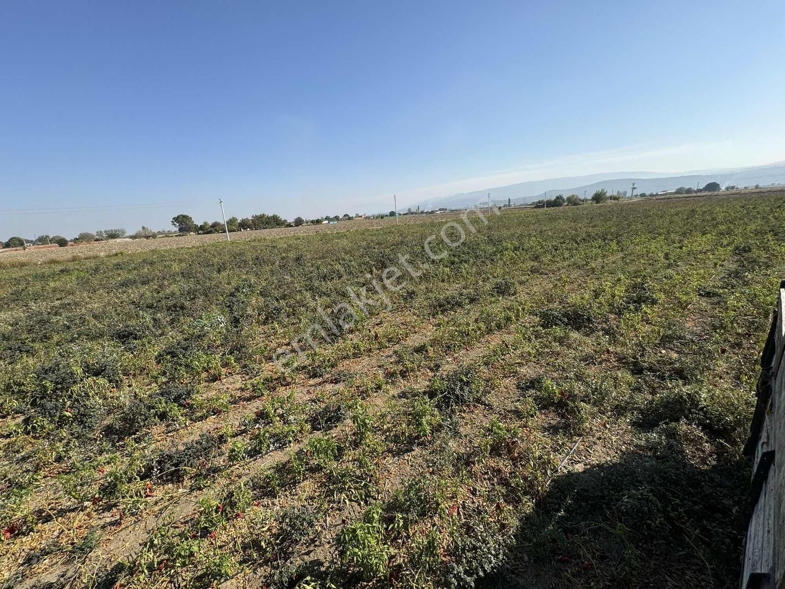 Kınık Yayakent Mahallesinde Satılık Tarla - Görsel 25
