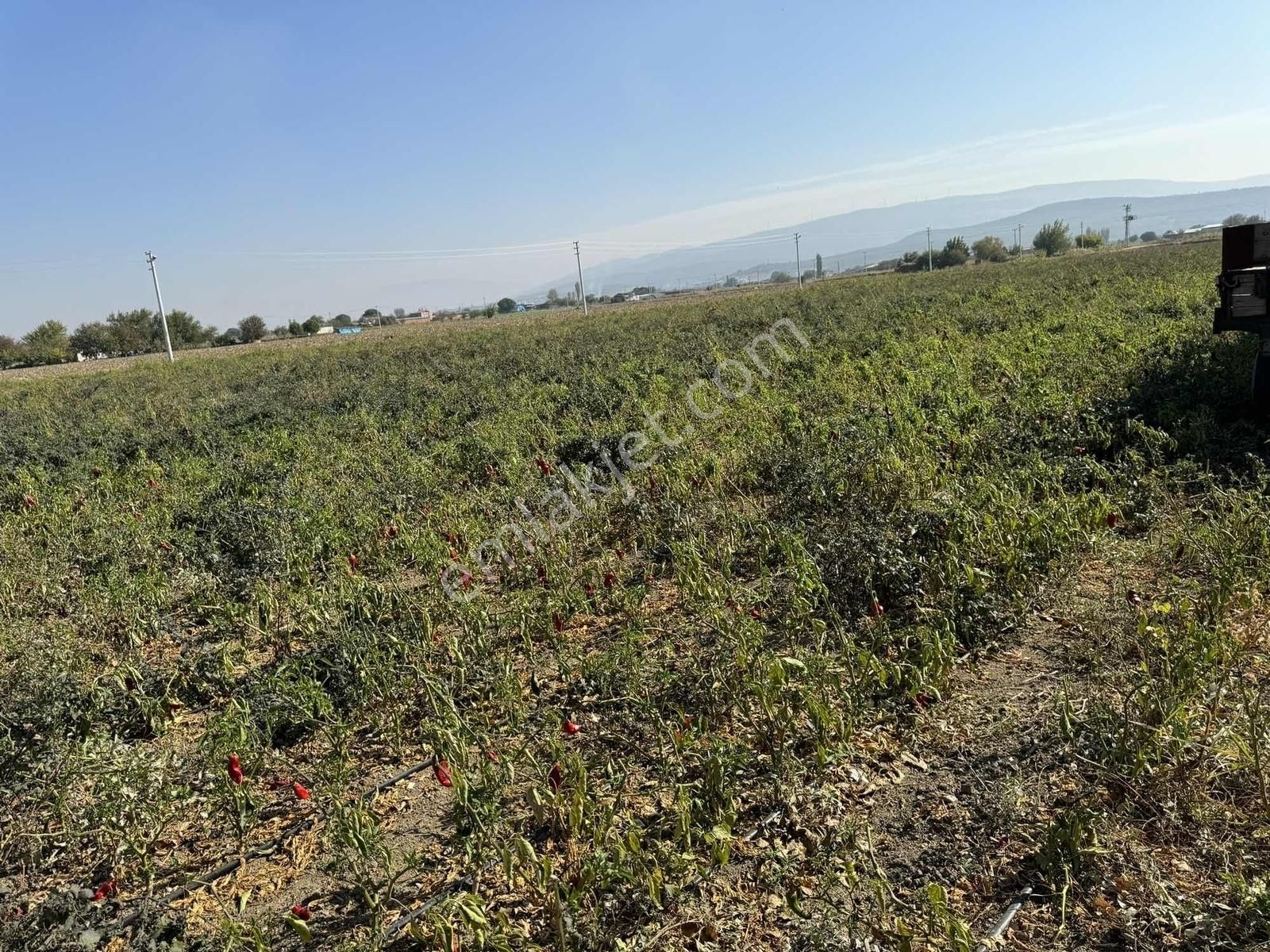 Kınık Yayakent Mahallesinde Satılık Tarla - Görsel 7