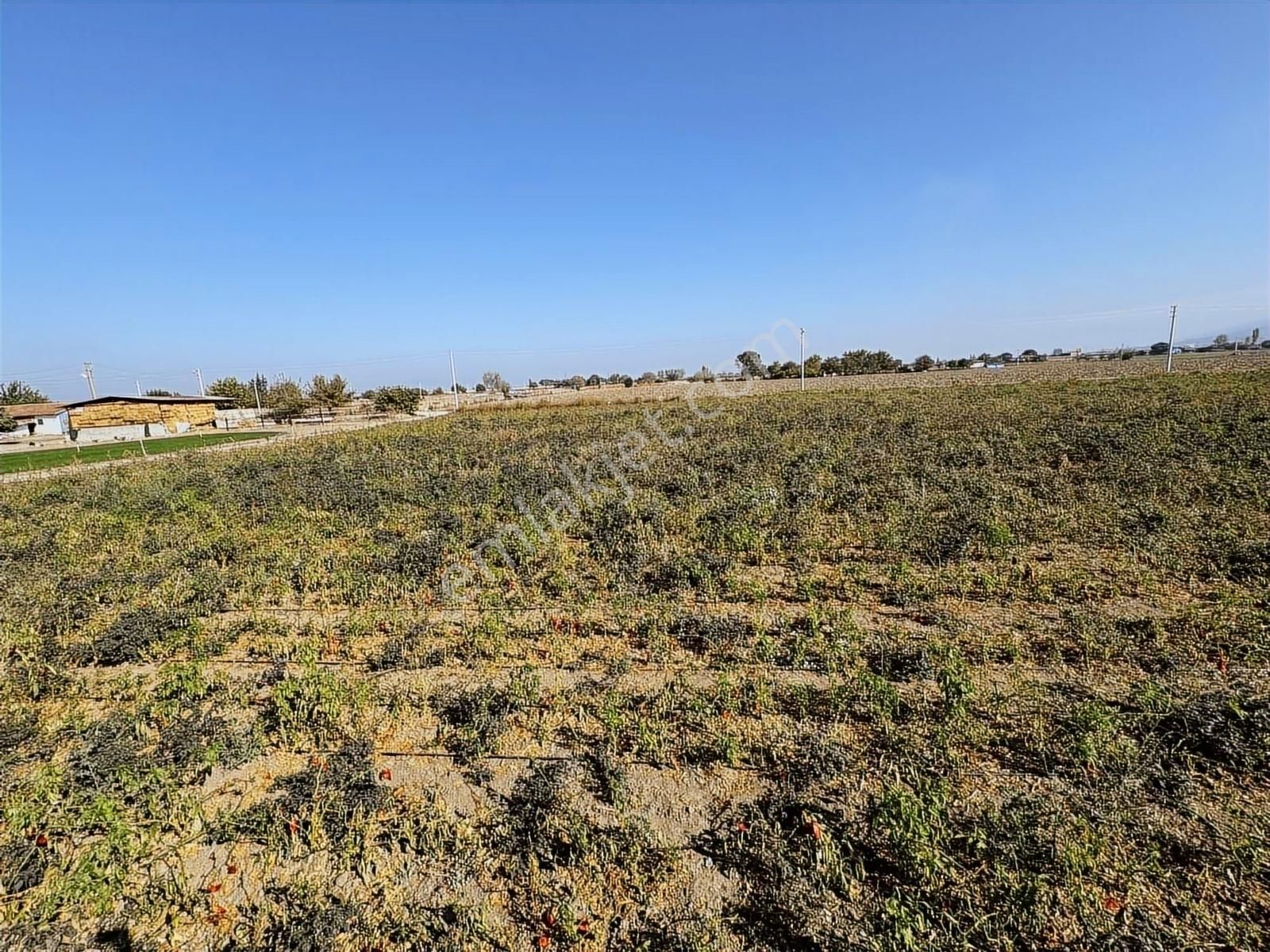 Kınık Yayakent Mahallesinde Satılık Tarla - Görsel 9