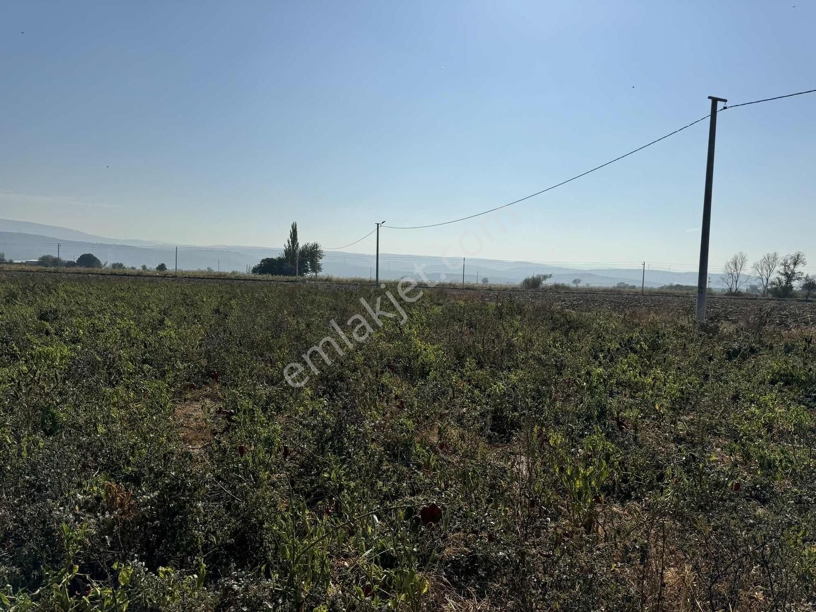 Kınık Yayakent Mahallesinde Satılık Tarla - Görsel 30