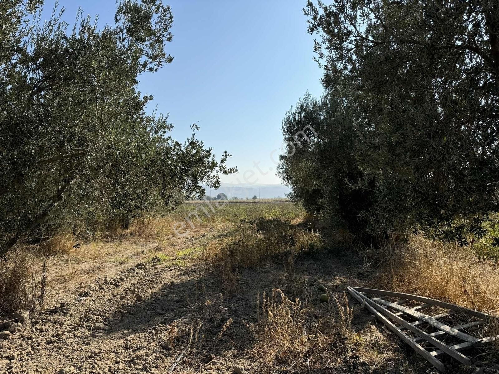 Kınık Yayakent Mahallesinde Satılık Tarla - Görsel 28