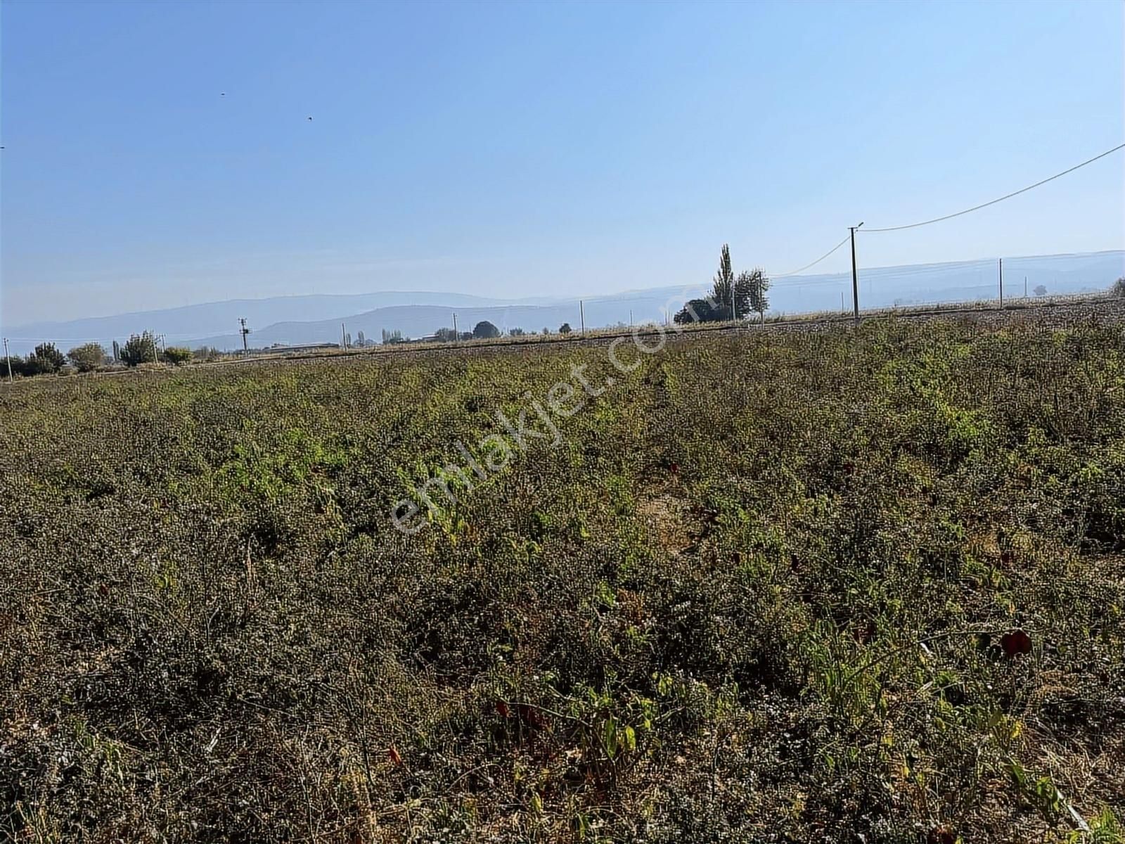 Kınık Yayakent Mahallesinde Satılık Tarla - Görsel 23