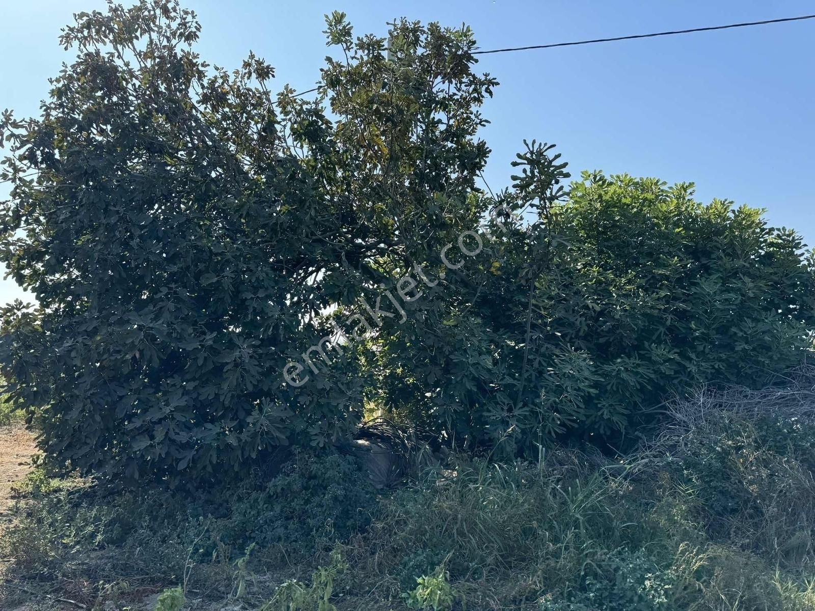 Kınık Yayakent Mahallesinde Satılık Tarla - Görsel 3