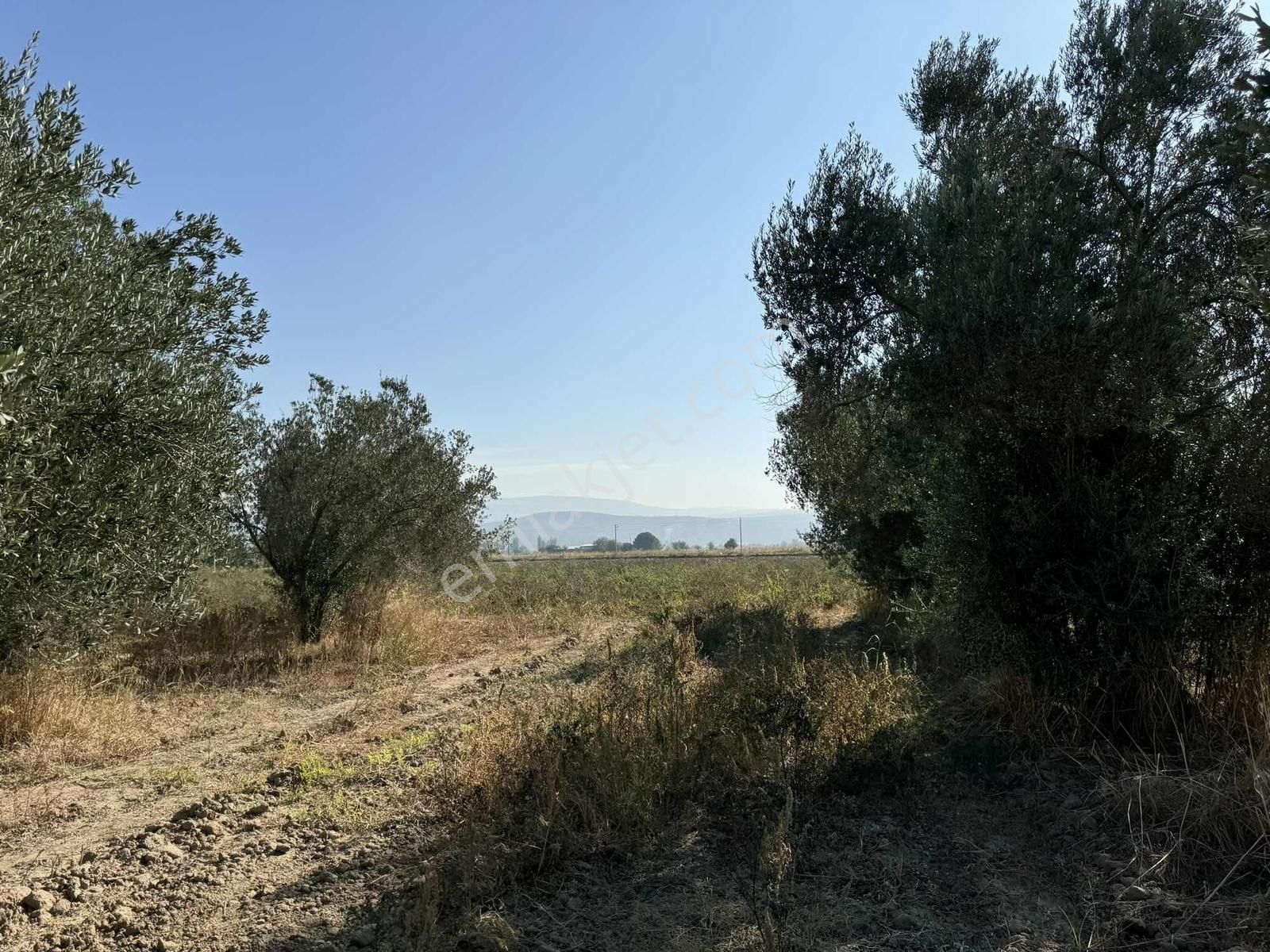 Kınık Yayakent Mahallesinde Satılık Tarla - Görsel 29