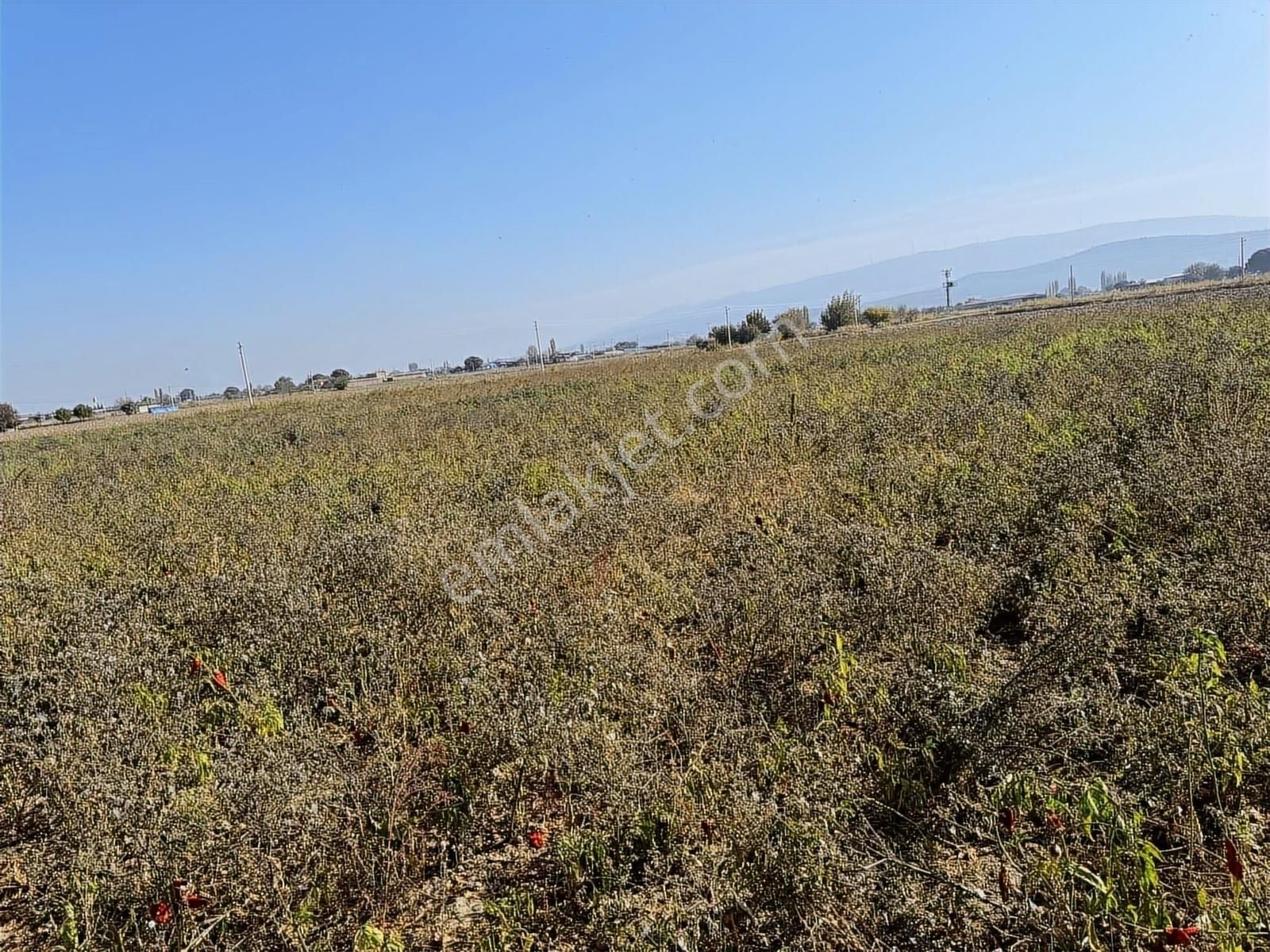 Kınık Yayakent Mahallesinde Satılık Tarla - Görsel 13