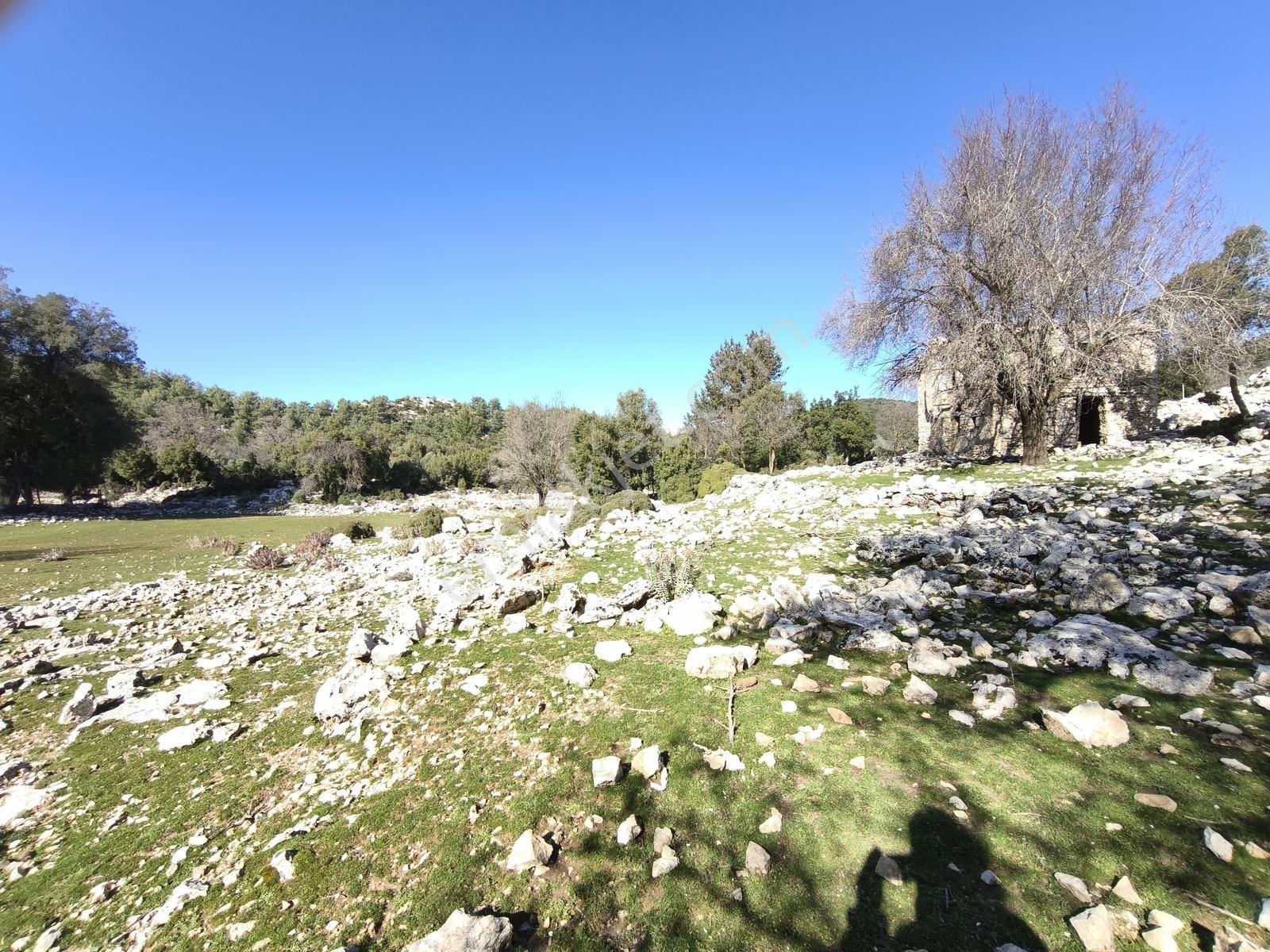 Fethiye Karaağaç Merkeze 700 M Satılık 813 M² Kargır Binavetarla - Görsel 6