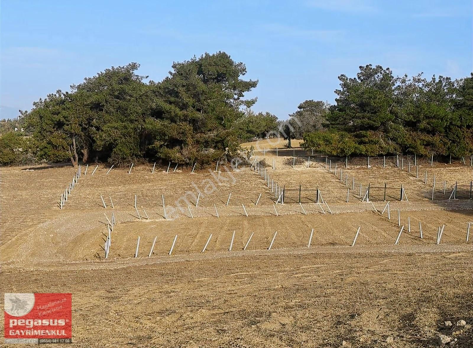 Pegasus'tan Adana Çukurova Kocatepe'de Satlık Arazi - Görsel 12