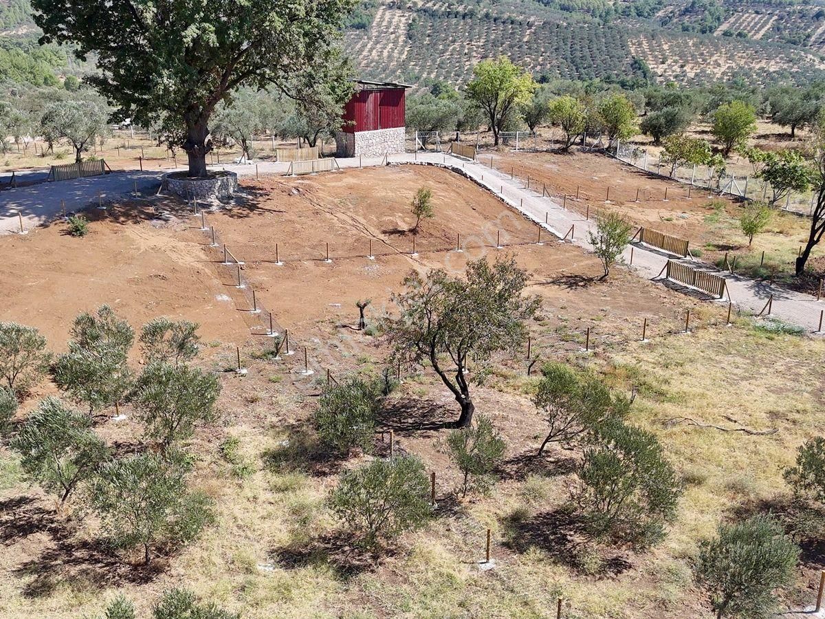 Edremit Hacıarslanlar Satılık Parseller , Tinyhouse , Konteyner , Prefabrik İçin Uygun - Görsel 5