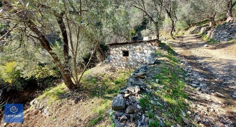 Altınoluk Satılık Zeytinlik / Deniz Manzaralı / Yol Cepheli / Altınoluk Merkezde - Görsel 10