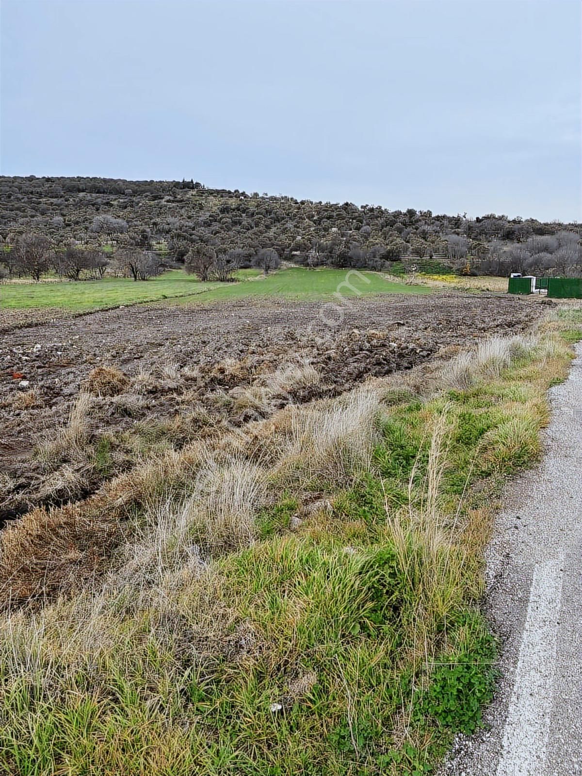 Aliağa Yat Tersanesi Ve Meslek Hastalıkları Hastanesi Yanı - Görsel 6