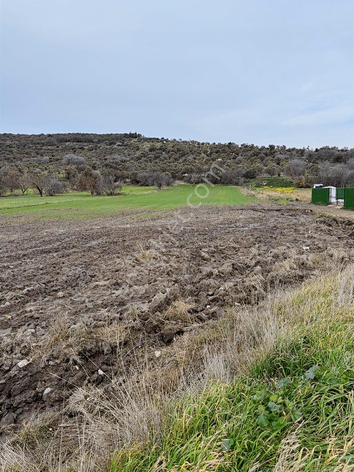 Aliağa Yat Tersanesi Ve Meslek Hastalıkları Hastanesi Yanı - Görsel 9