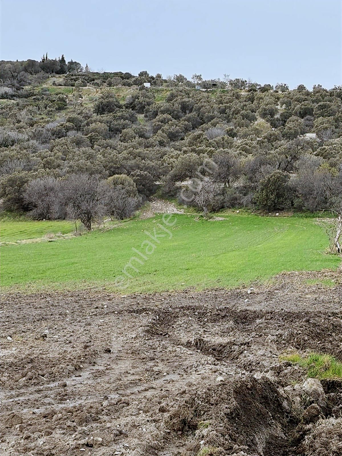 Aliağa Yat Tersanesi Ve Meslek Hastalıkları Hastanesi Yanı - Görsel 3